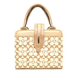 GUCCI BOX BAG